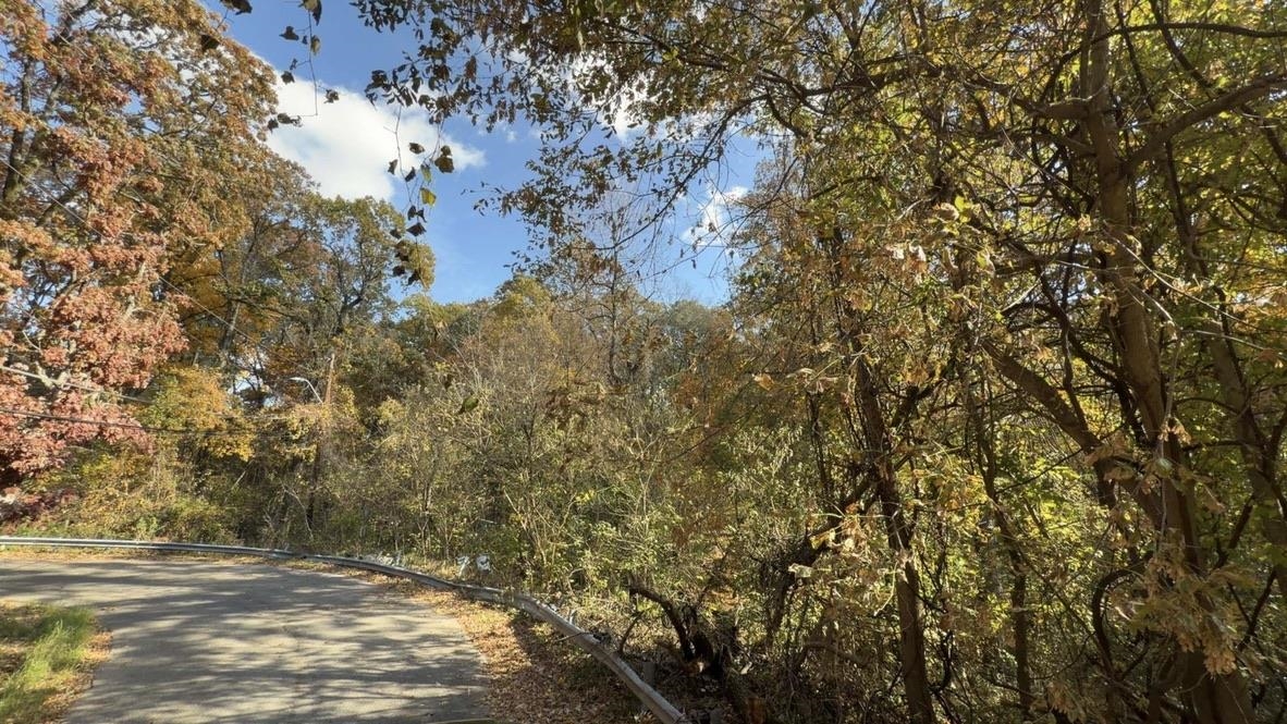 29 Felton Road Memphis, TN 38128 - Photo 2 of 3 a view of backyard of a house