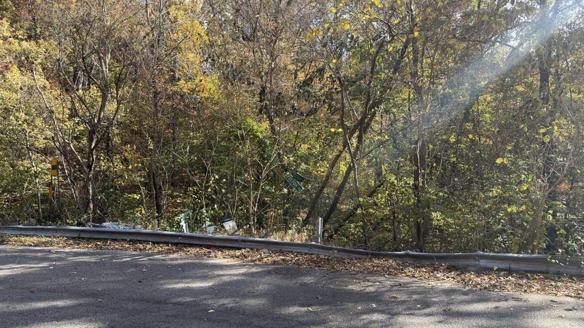 29 Felton Road Memphis, TN 38128 - Photo 3 of 3 a view of a street with trees in front of it