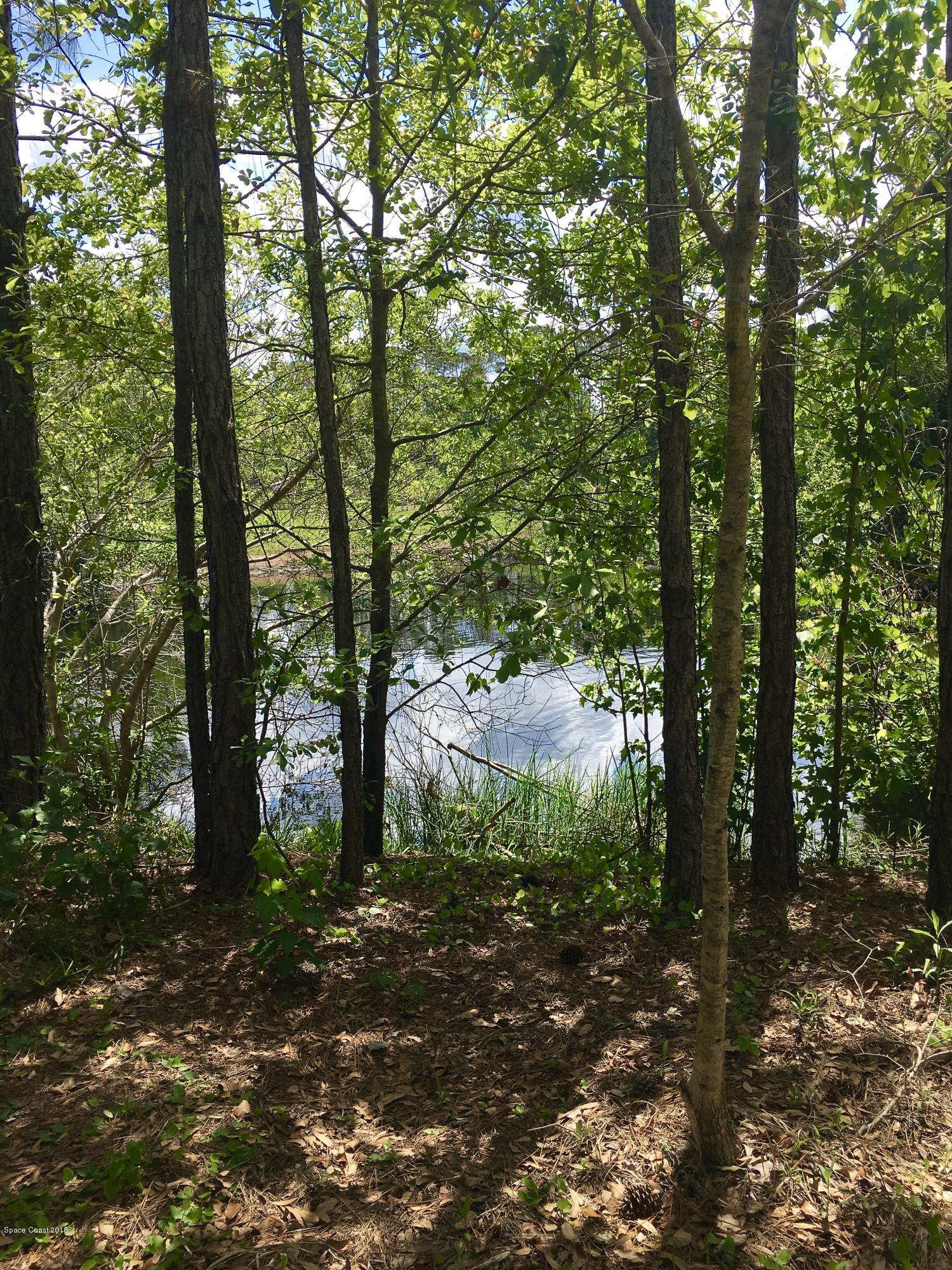 3865 Grant Line Road Mims, FL 32754 - Photo 59 of 69 fullsizeoutput_30d