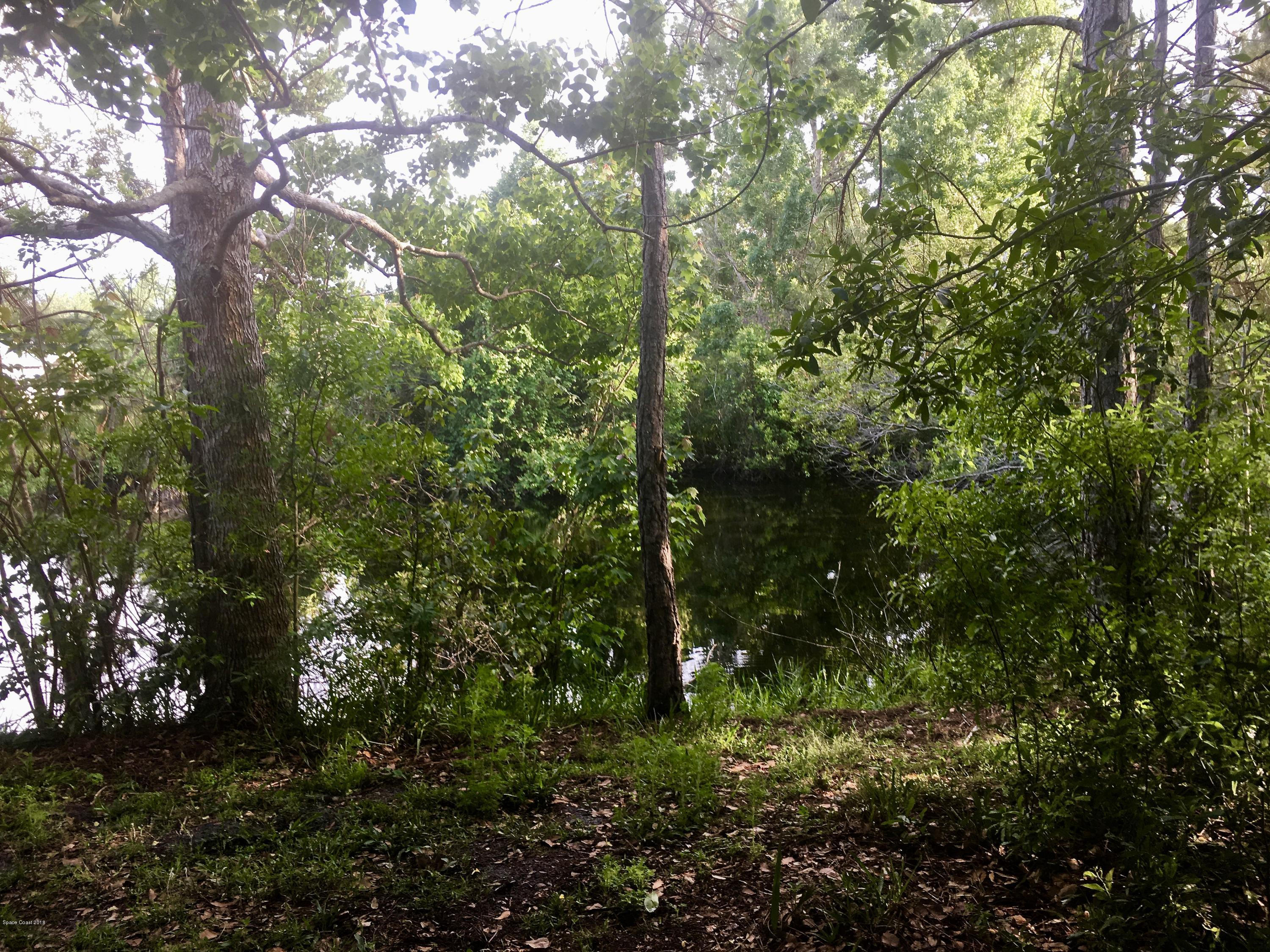 3865 Grant Line Road Mims, FL 32754 - Photo 62 of 69 fullsizeoutput_2e6