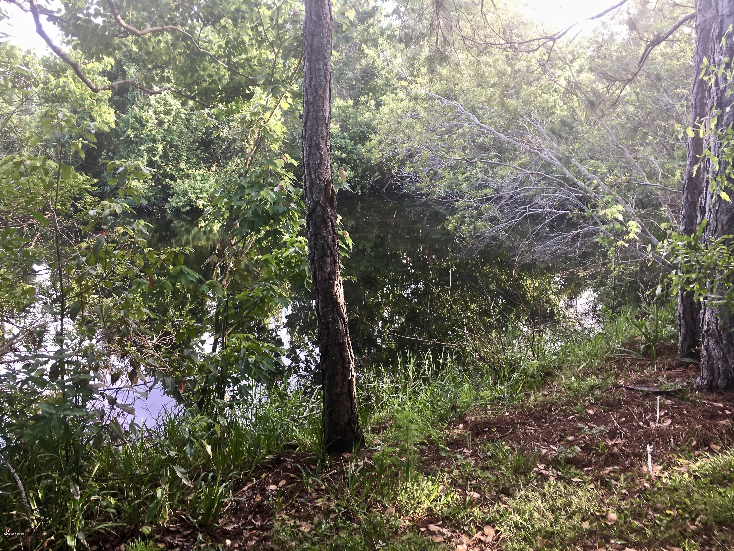3865 Grant Line Road Mims, FL 32754 - Photo 63 of 69 fullsizeoutput_2e5