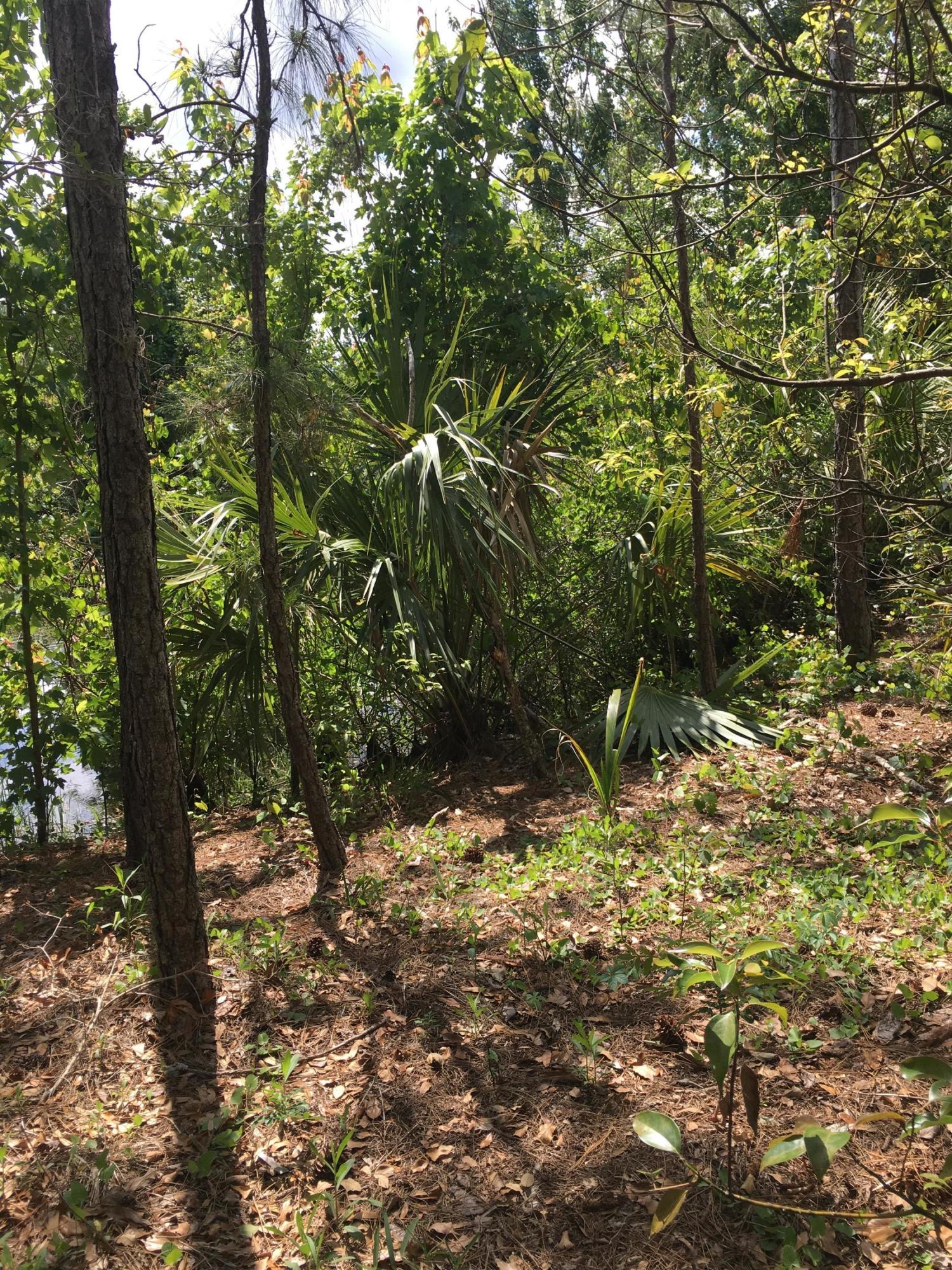 3865 Grant Line Road Mims, FL 32754 - Photo 64 of 69 IMG_4363