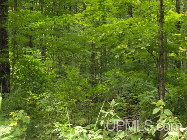 25404 West Kemppainen Road Covington, MI 49919 - Photo 8 of 17
