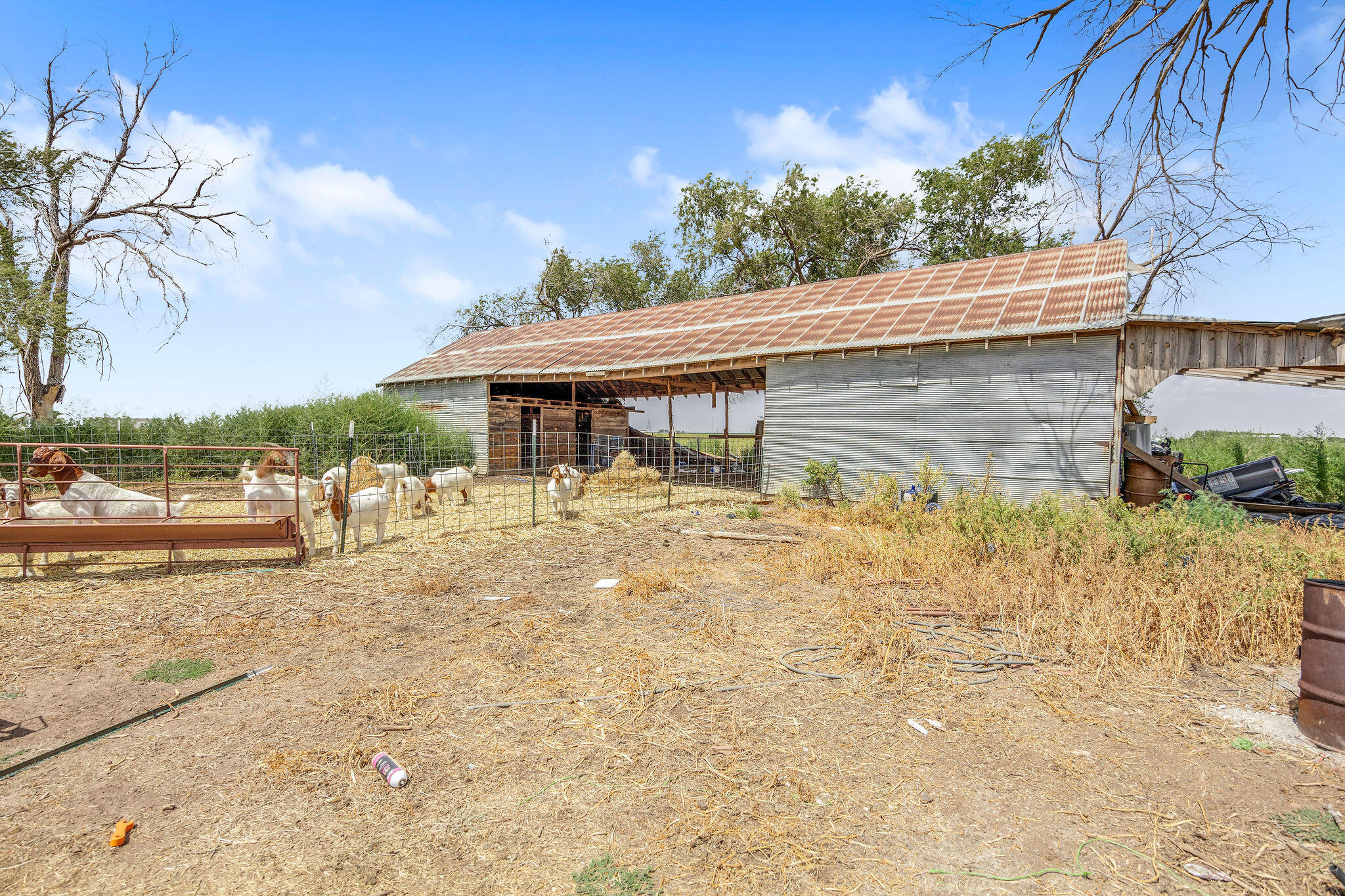 17710 C R 2720 Slaton, TX 79364 - Photo 51 of 56 B66A3596