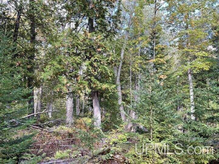 Tbd Tbd Highway Lanse, MI 49946 - Photo 3 of 6