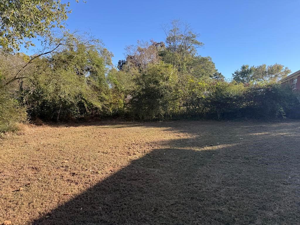 106 Flippen Road Stockbridge, GA 30281 - Photo 15 of 16 a view of yard with green space