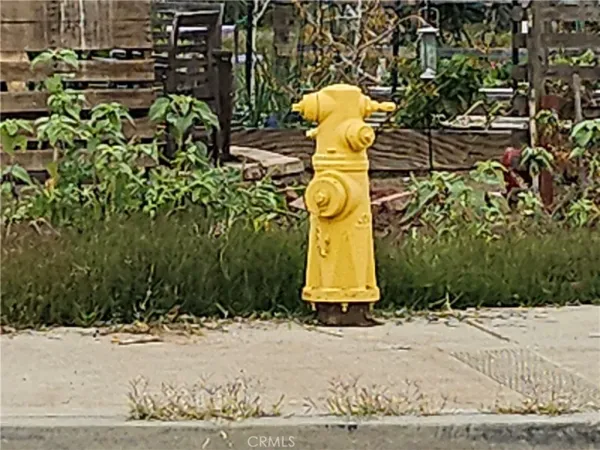 a fire hydrant sitting in the middle of a road