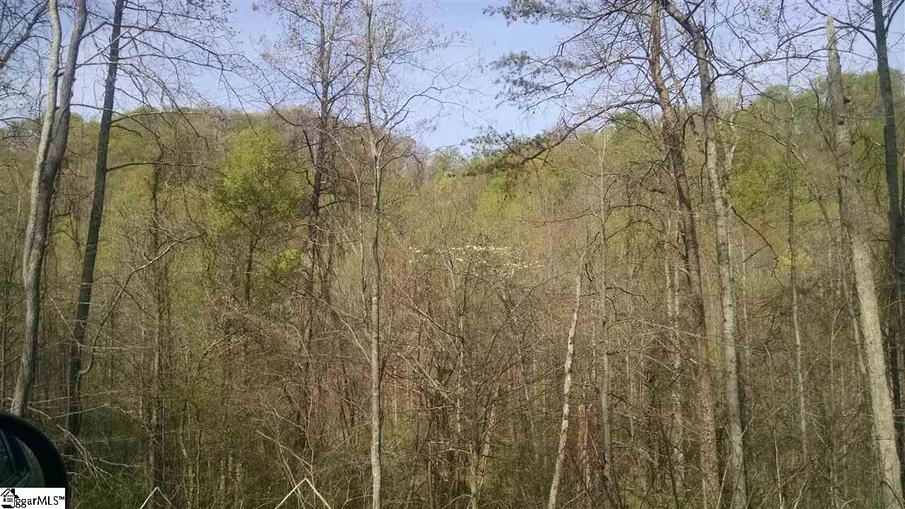 North Tigerville Road Travelers Rest, SC 29690 - Photo 2 of 2 Gallery Image 2