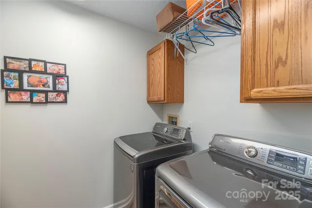 a view of a yard with trees