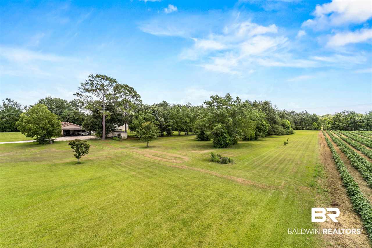 15208 Black Griffin Road Loxley, AL 36551 - Photo 9 of 32