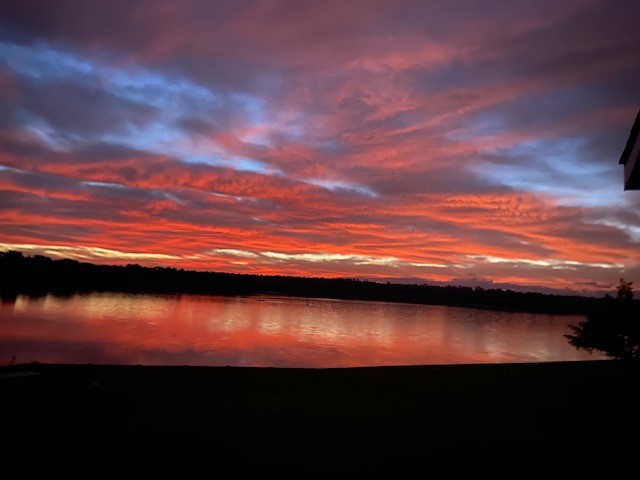 12 Walnut Bend Huntsville, TX 77320 - Photo 15 of 16 a view of swimming pool from a lake view