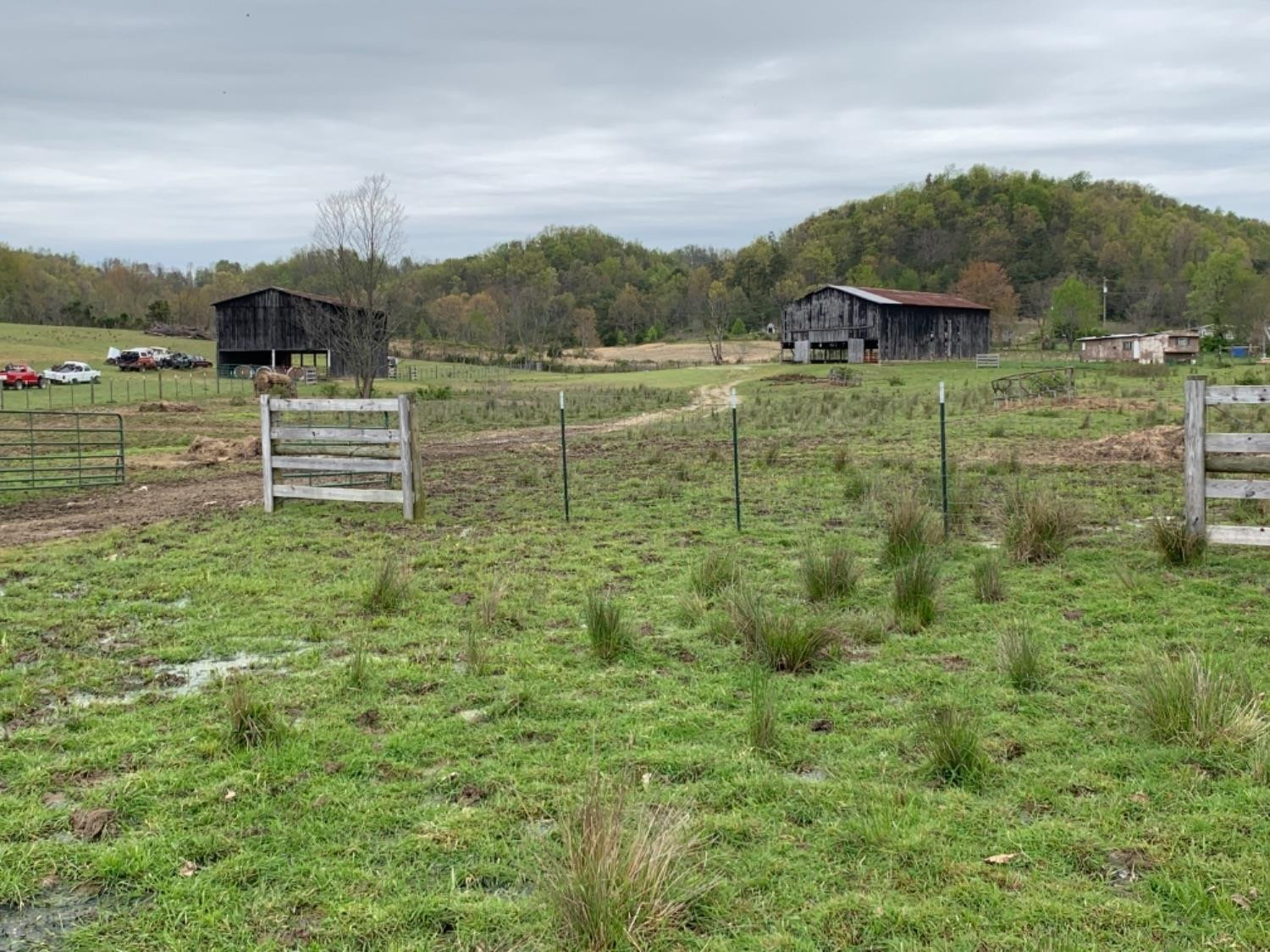 1 Bowen Road Stanford, KY 40484 - Photo 1 of 19 Photo 1