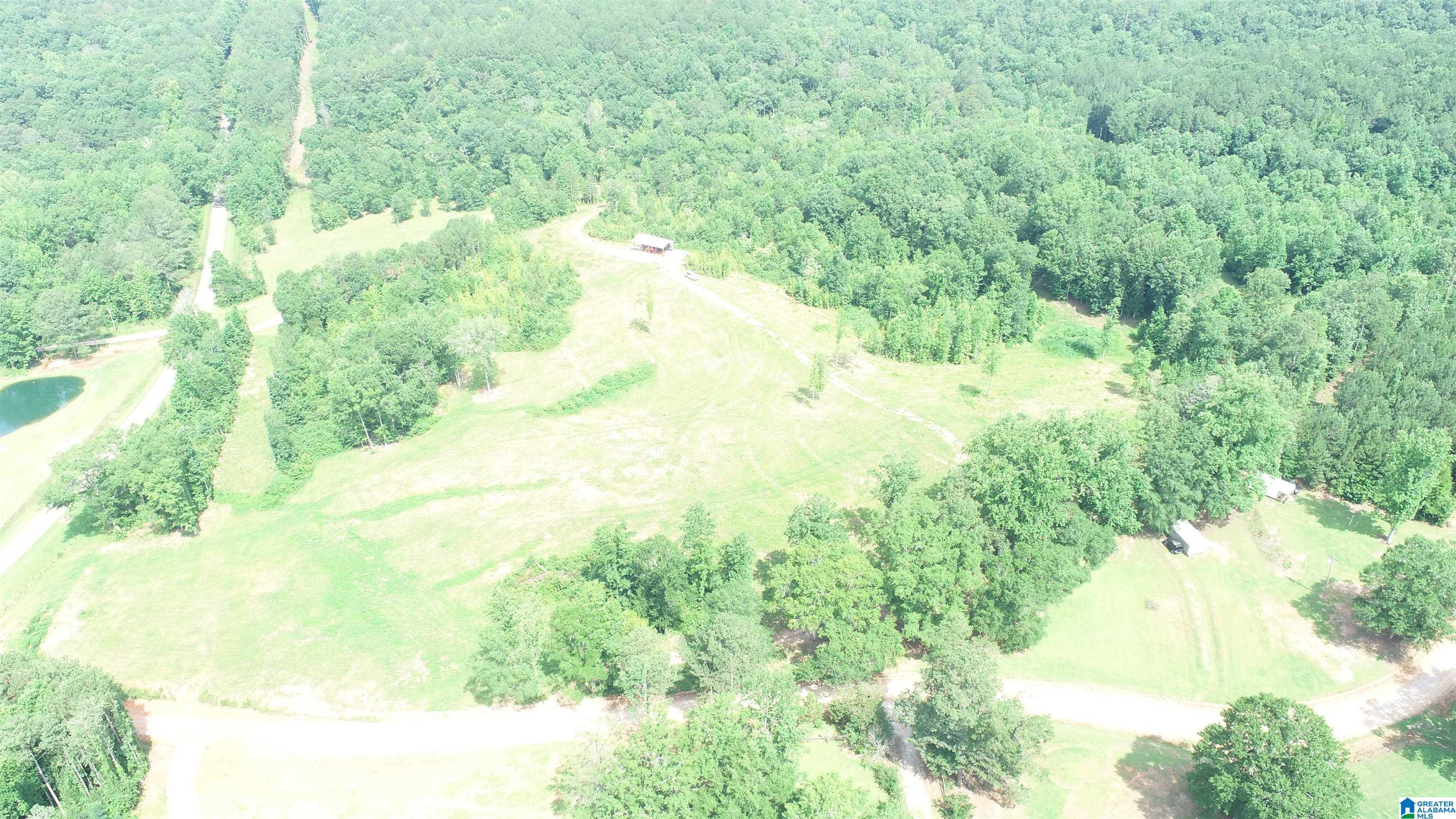 4 County Road Wedowee, AL 36278 - Photo 10 of 16