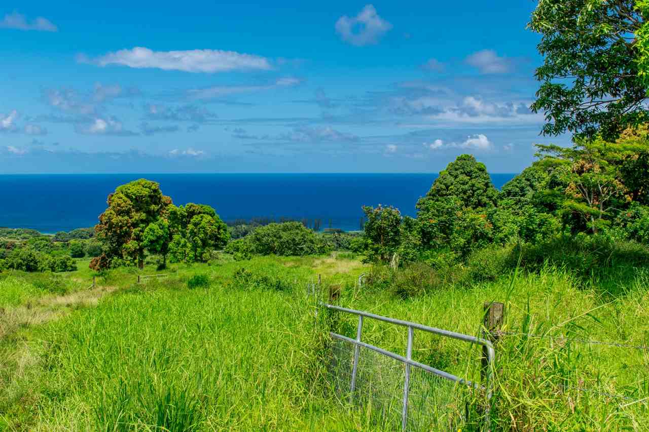467 Kapia Road Hana, HI 96713 - Photo 13 of 22 a view of a garden