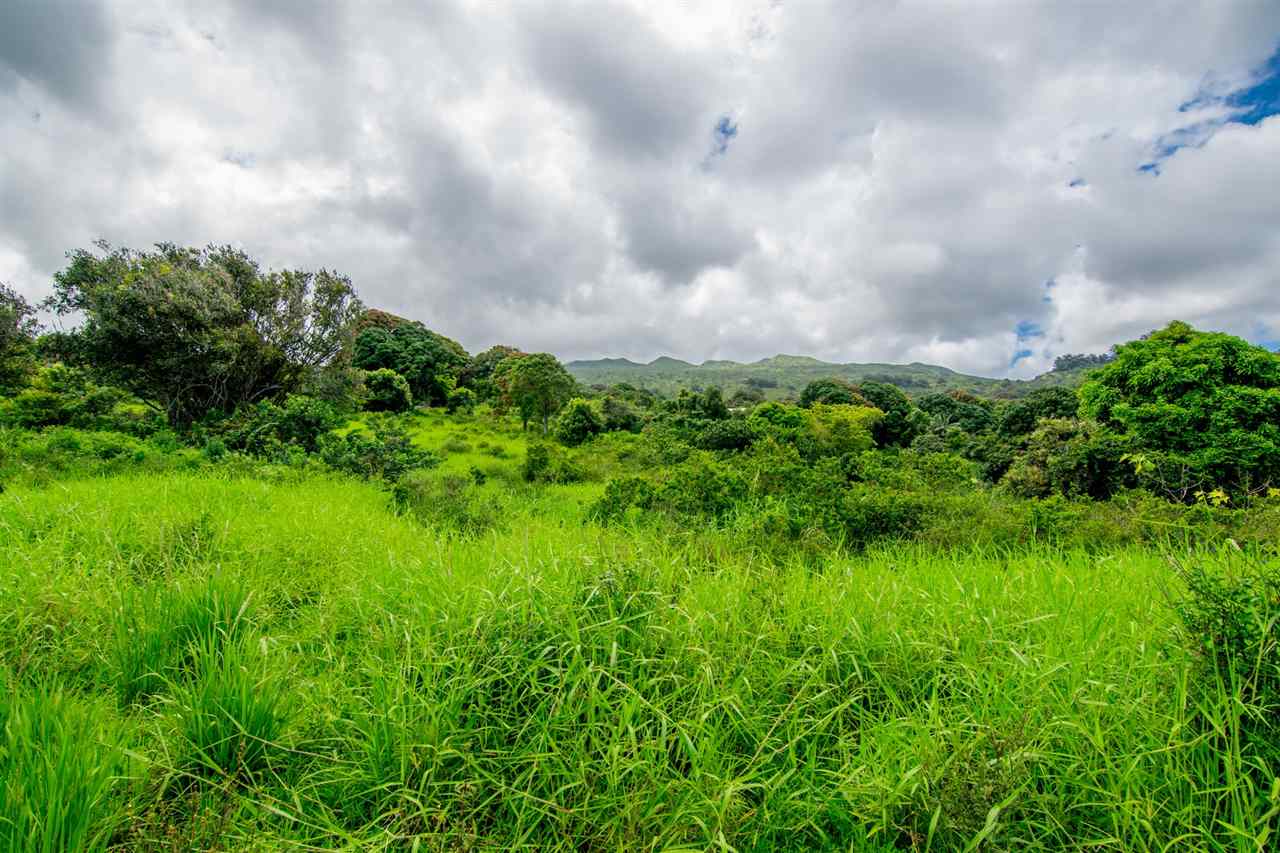 467 Kapia Road Hana, HI 96713 - Photo 14 of 22