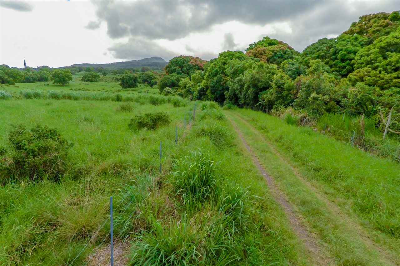 467 Kapia Road Hana, HI 96713 - Photo 15 of 22 a view of a lush green space