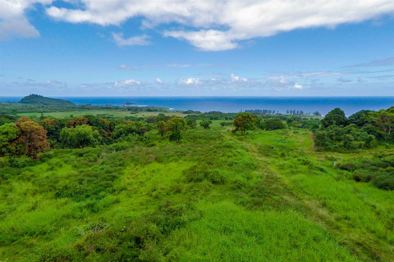 467 Kapia Road Hana, HI 96713 - Photo 16 of 22 a view of a big yard with lots of green space
