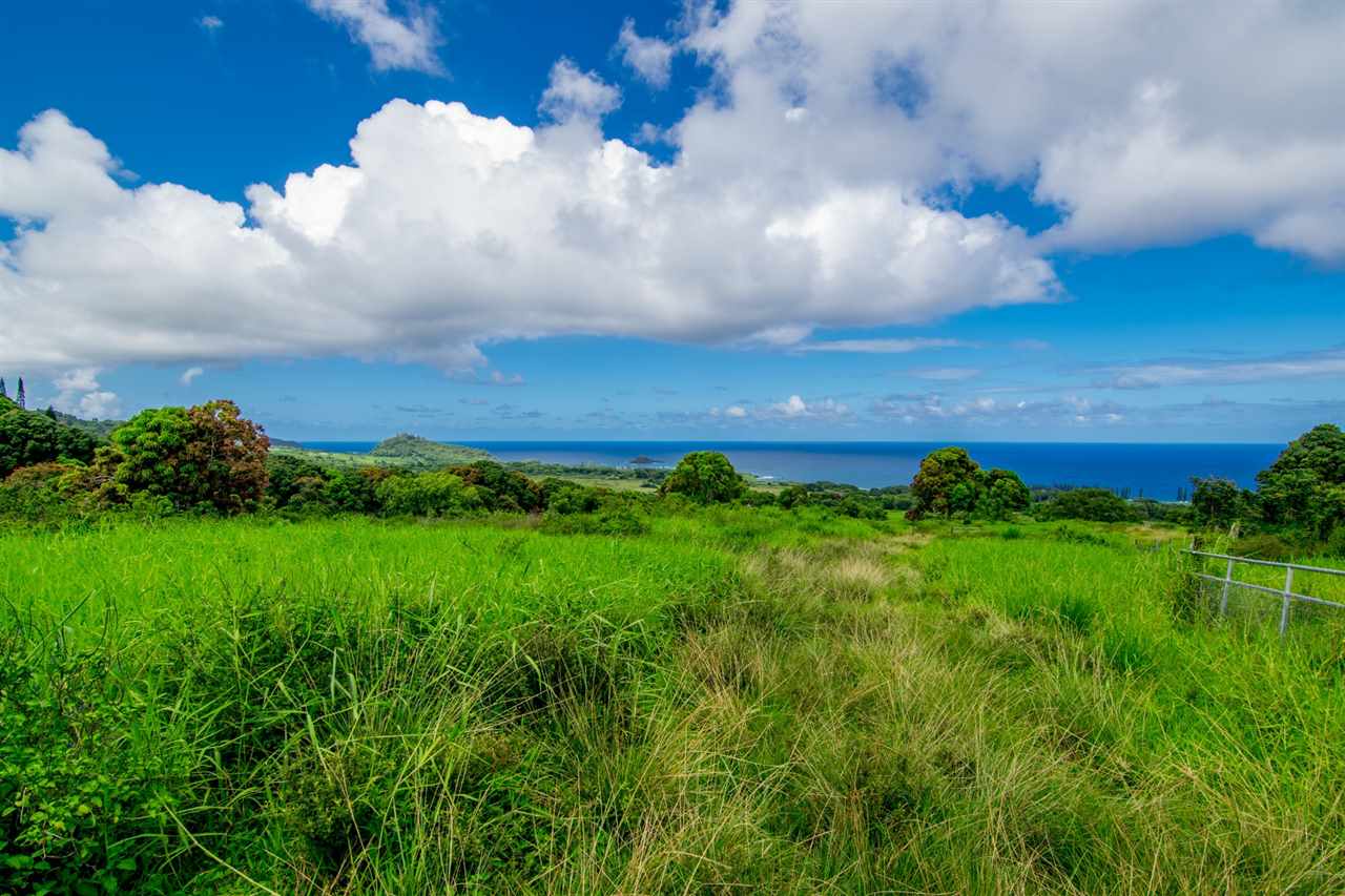 467 Kapia Road Hana, HI 96713 - Photo 3 of 22 a view of a big yard with potted plants and large trees