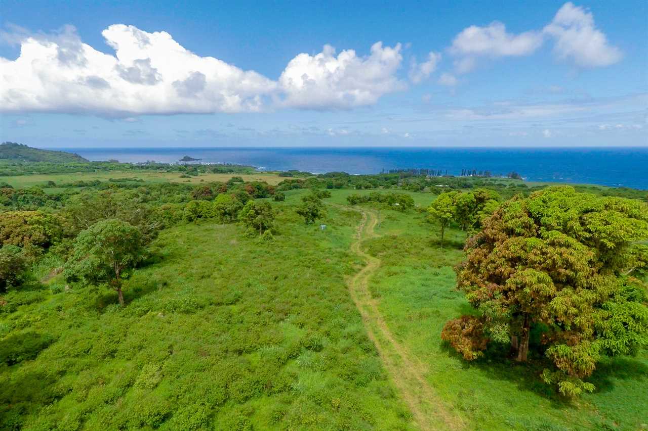 467 Kapia Road Hana, HI 96713 - Photo 6 of 22 a view of an outdoor space and a yard