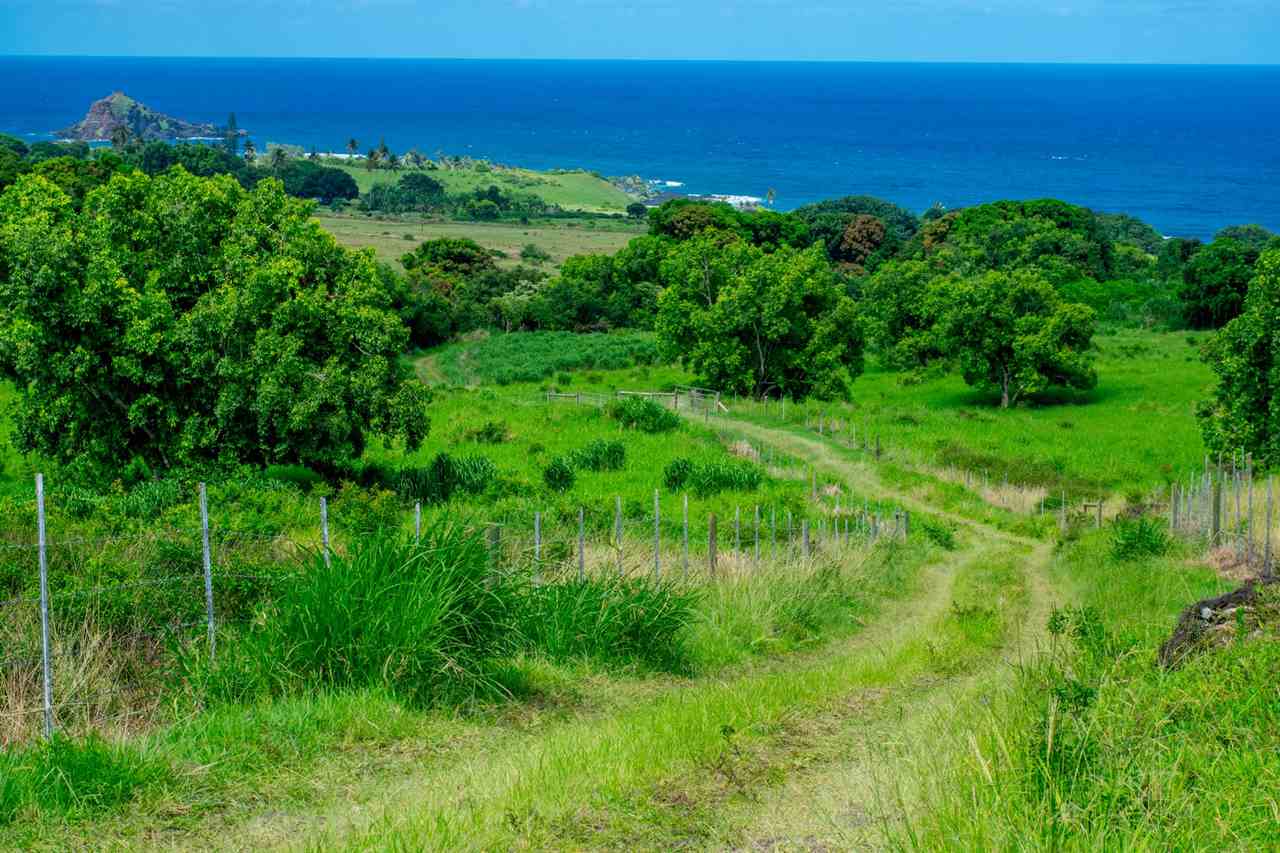 467 Kapia Road Hana, HI 96713 - Photo 7 of 22 a view of a lush green space