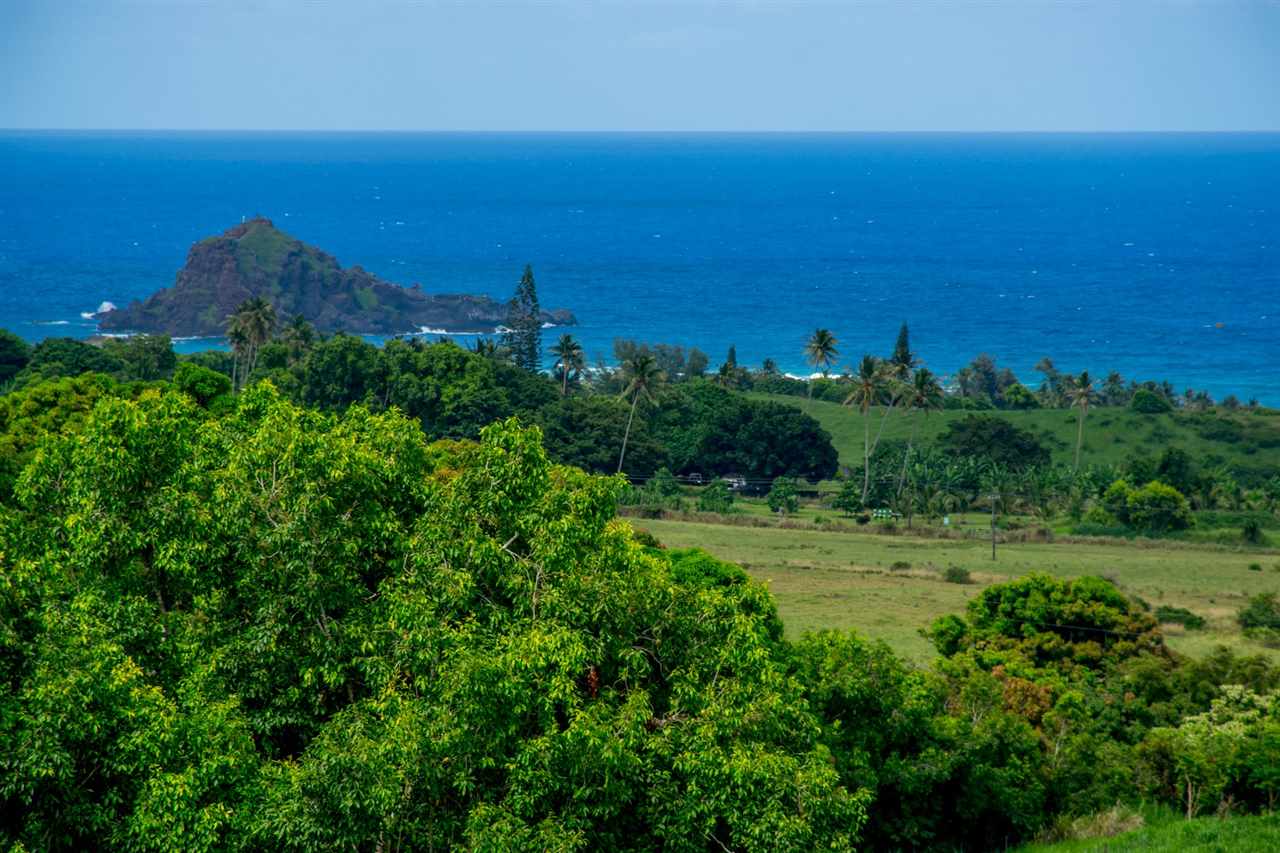 467 Kapia Road Hana, HI 96713 - Photo 8 of 22 an aerial view of a houses with a yard