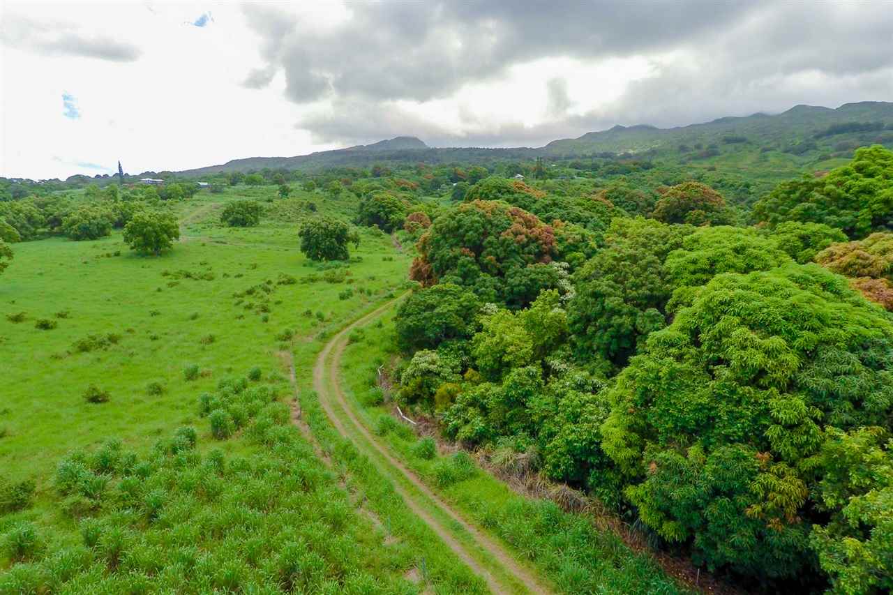 467 Kapia Road Hana, HI 96713 - Photo 10 of 22 a view of a green field in the middle of a field