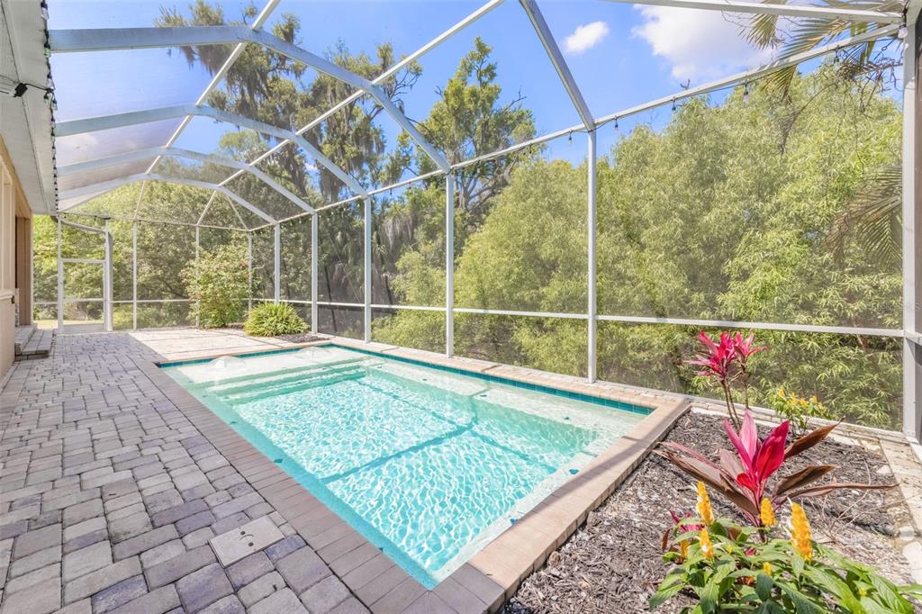 5116 Coastal Scene Drive Apollo Beach, FL 33572 - Photo 3 of 36 a view of outdoor space with swimming pool