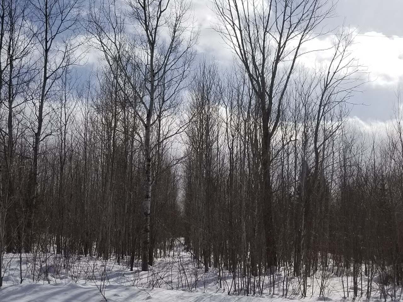 15236N Berg Road Saxon, WI 54559 - Photo 23 of 27 Gallery Image 23
