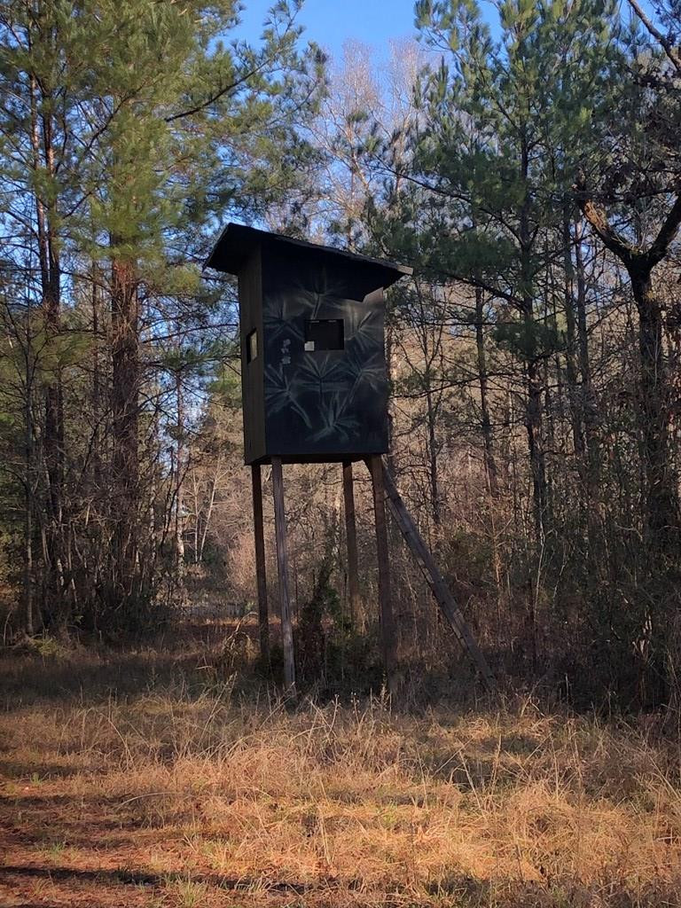 3305 Purvis To Columbia Road Lumberton, MS 39455 - Photo 11 of 18 Photo 11