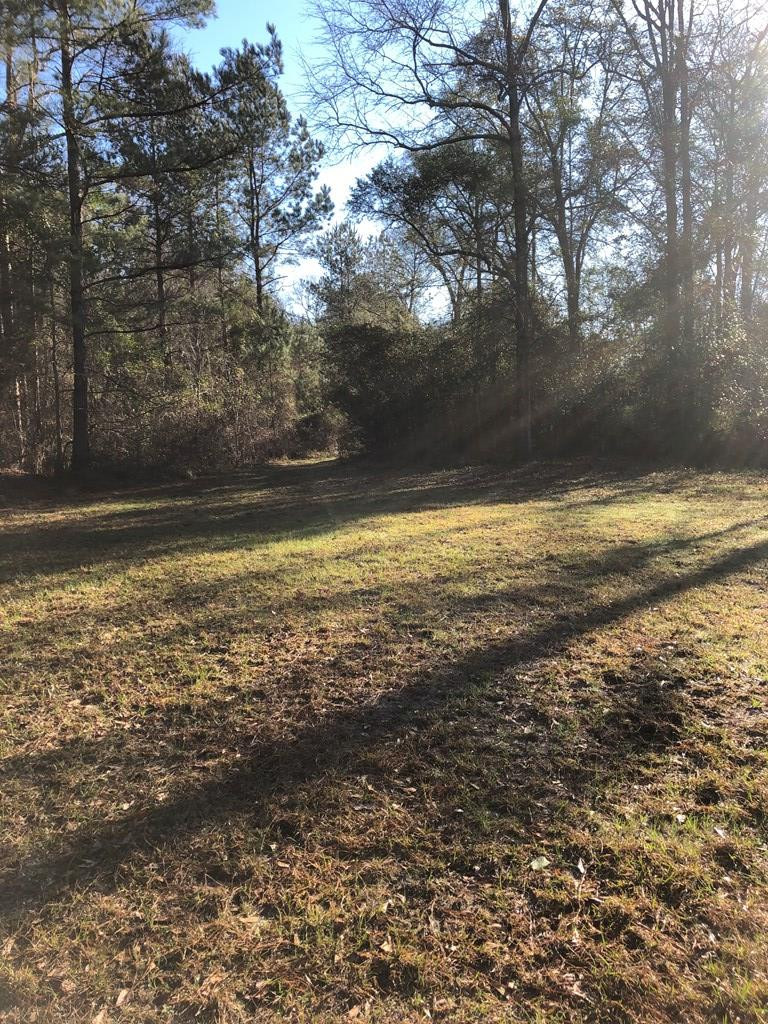 3305 Purvis To Columbia Road Lumberton, MS 39455 - Photo 3 of 18 Photo 3