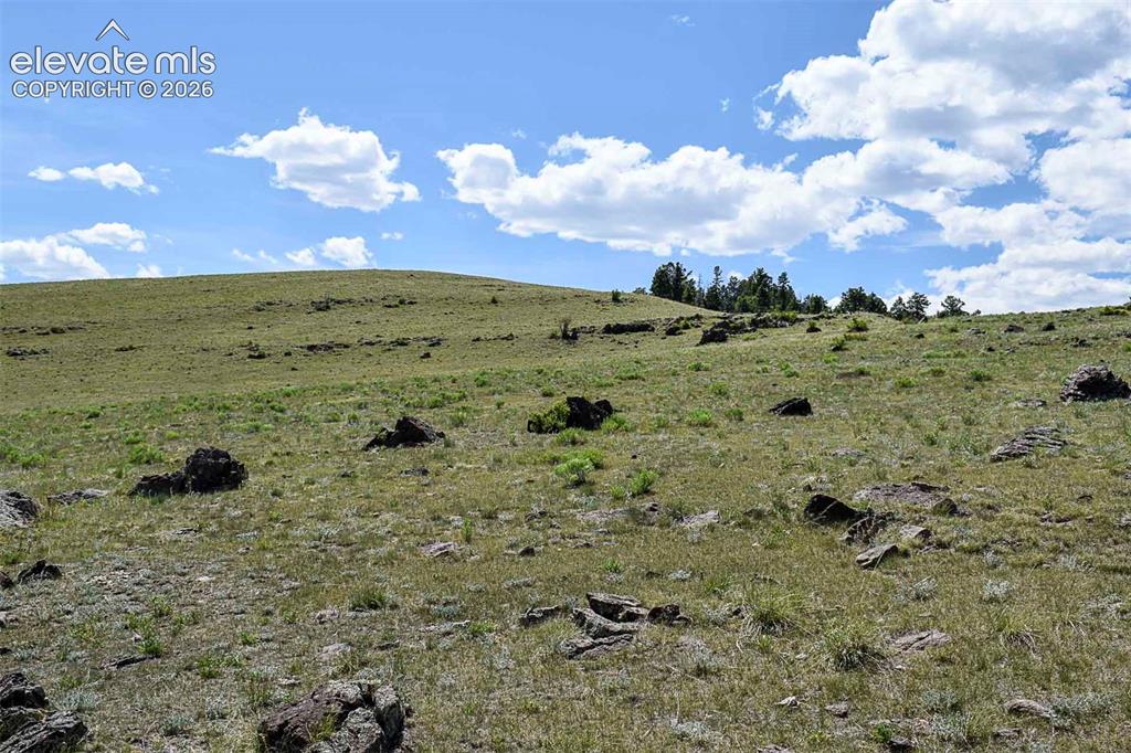 0 Bear Cat Road Guffey, CO 80820 - Photo 36 of 40