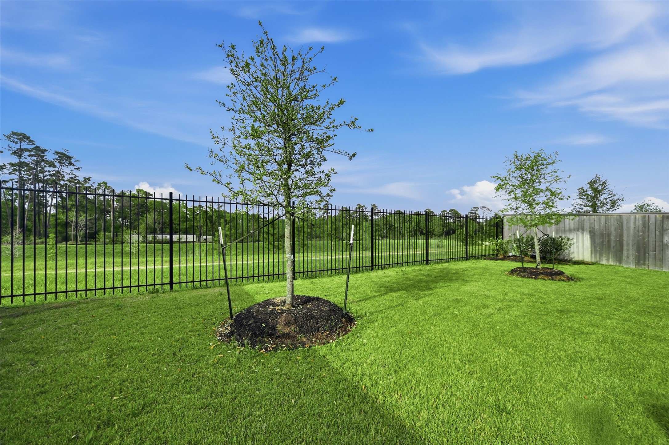 8022 Hingham Lane Spring, TX 77389 - Photo 33 of 42