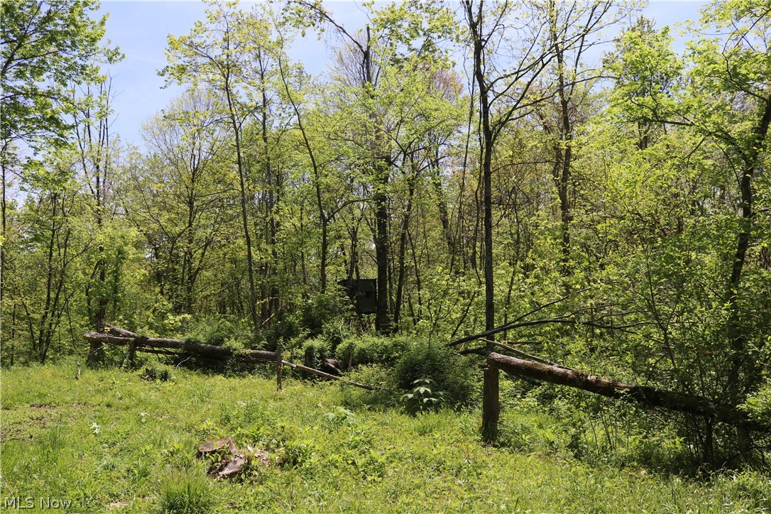 14443 Robins Road Senecaville, OH 43780 - Photo 8 of 16