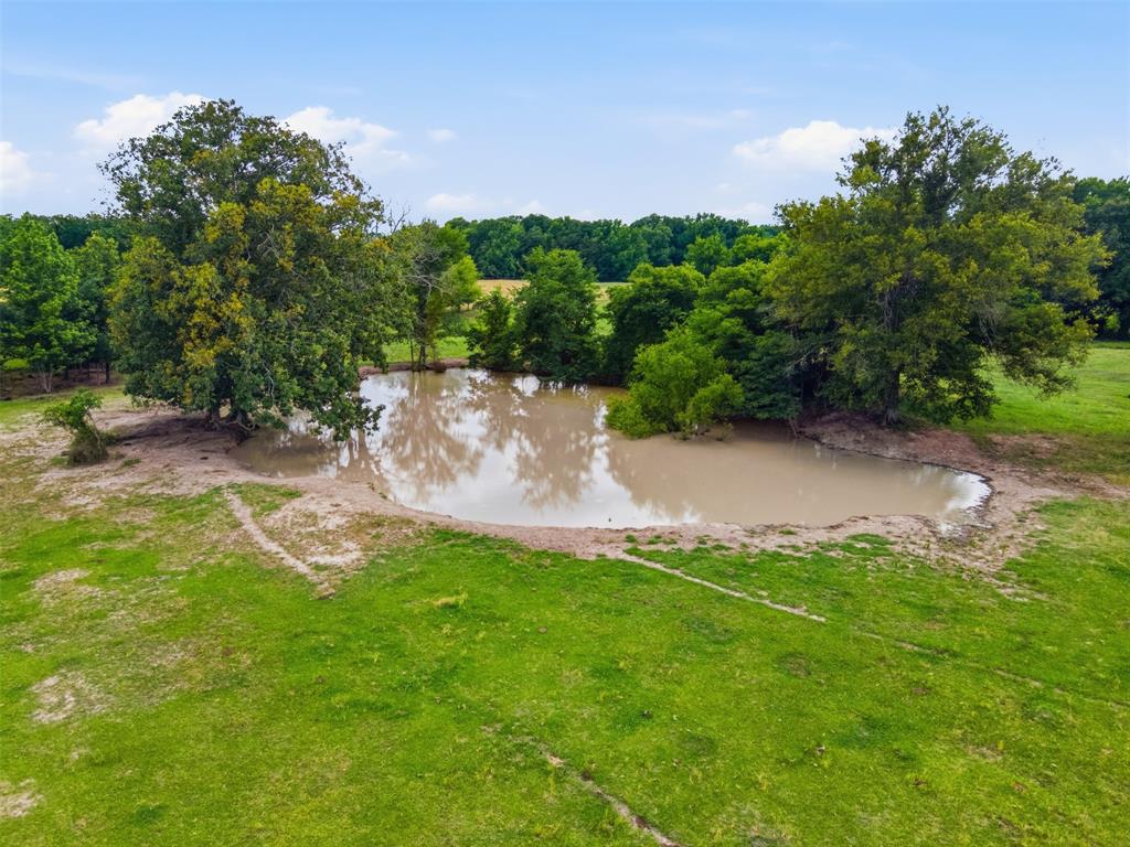 1663 County Road 1405 Bogata, TX 75417 - Photo 32 of 36