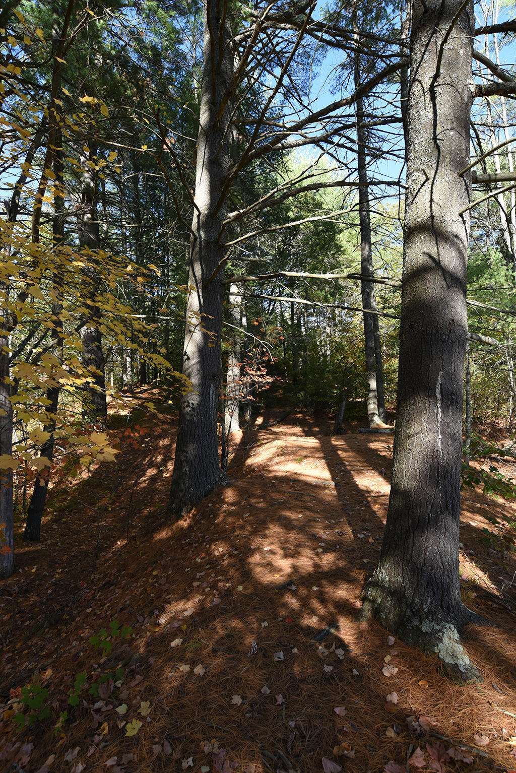 1232 Cape Road Hollis Center, ME 04042 - Photo 57 of 58 117-1232CapeRd-Hollis