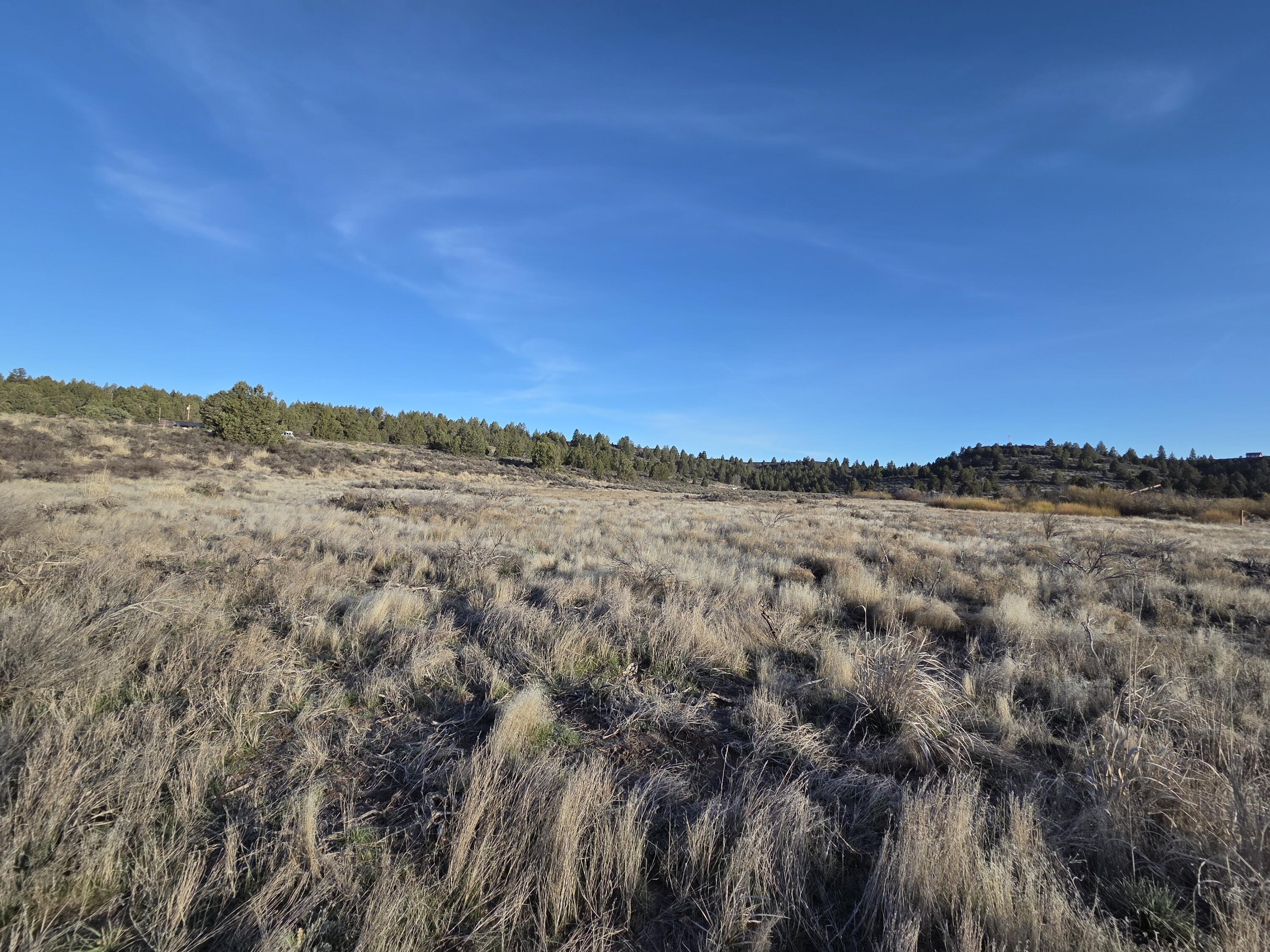 0 Drews Road, Unit LOT 8 Chiloquin, OR 97624 - Photo 39 of 39 a view of mountain view with sky view