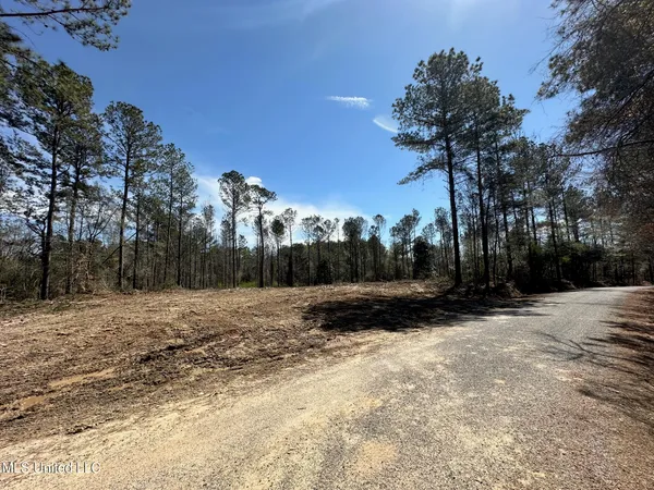 $22,000 | 4 Highway 478 New Hebron Ms 39140, Pinola, MS 39149