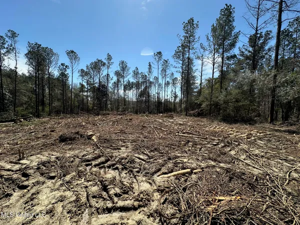 $22,000 | 4 Highway 478 New Hebron Ms 39140, Pinola, MS 39149