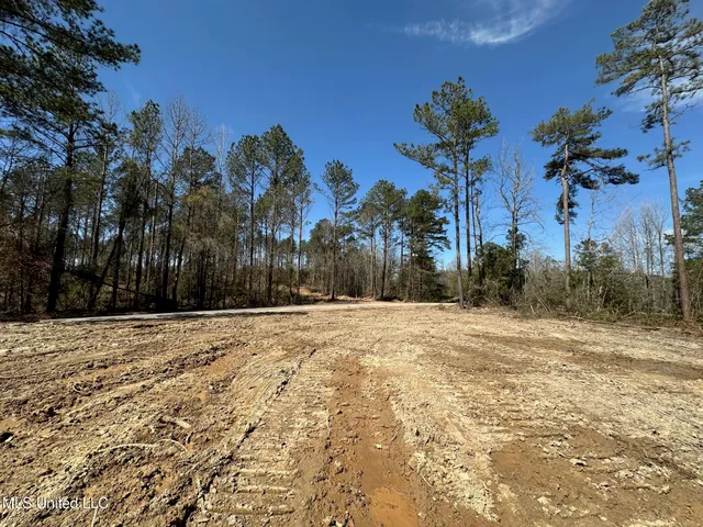 $22,000 | 4 Highway 478 New Hebron Ms 39140, Pinola, MS 39149