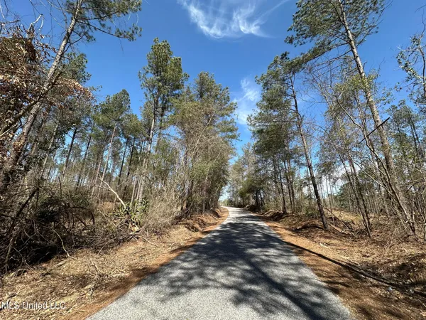 $22,000 | 4 Highway 478 New Hebron Ms 39140, Pinola, MS 39149