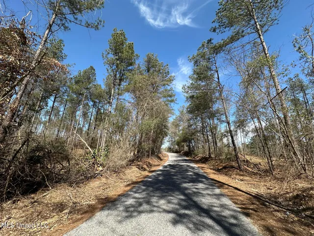 $22,000 | 4 Highway 478 New Hebron Ms 39140, Pinola, MS 39149