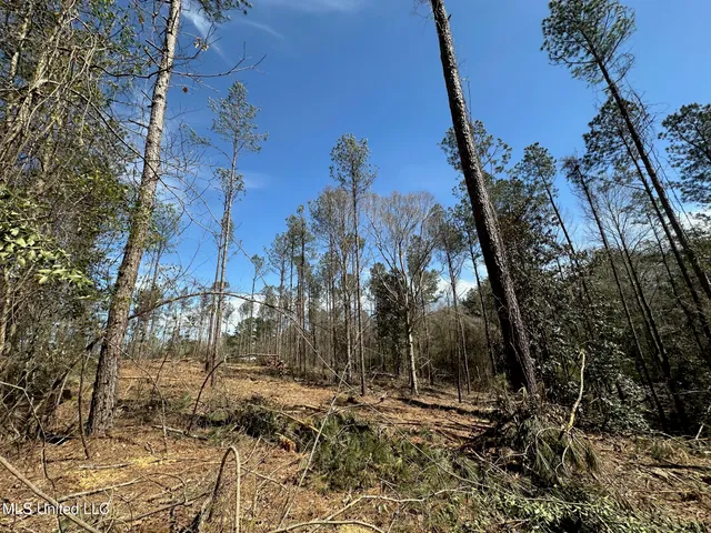 $22,000 | 4 Highway 478 New Hebron Ms 39140, Pinola, MS 39149