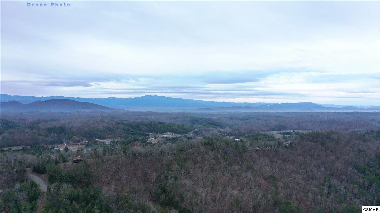 7 Bohanan Top Road Sevierville, TN 37876 - Photo 18 of 22 Gallery Image 18