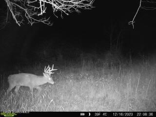 Tbd Miller Ford Road Centertown, MO 65023 - Photo 25 of 36