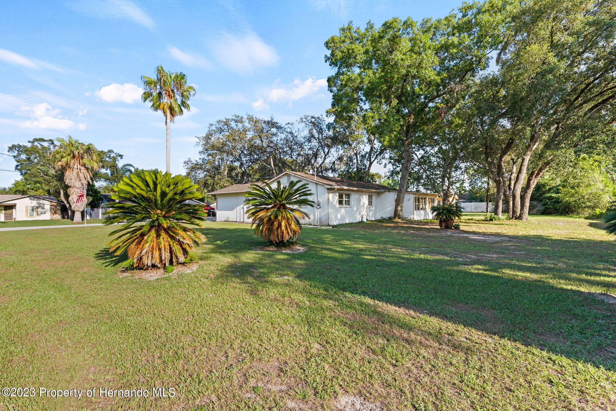 129 Candlewick Avenue Spring Hill, FL 34608 - Photo 27 of 28 31 view of back yard looking toward the