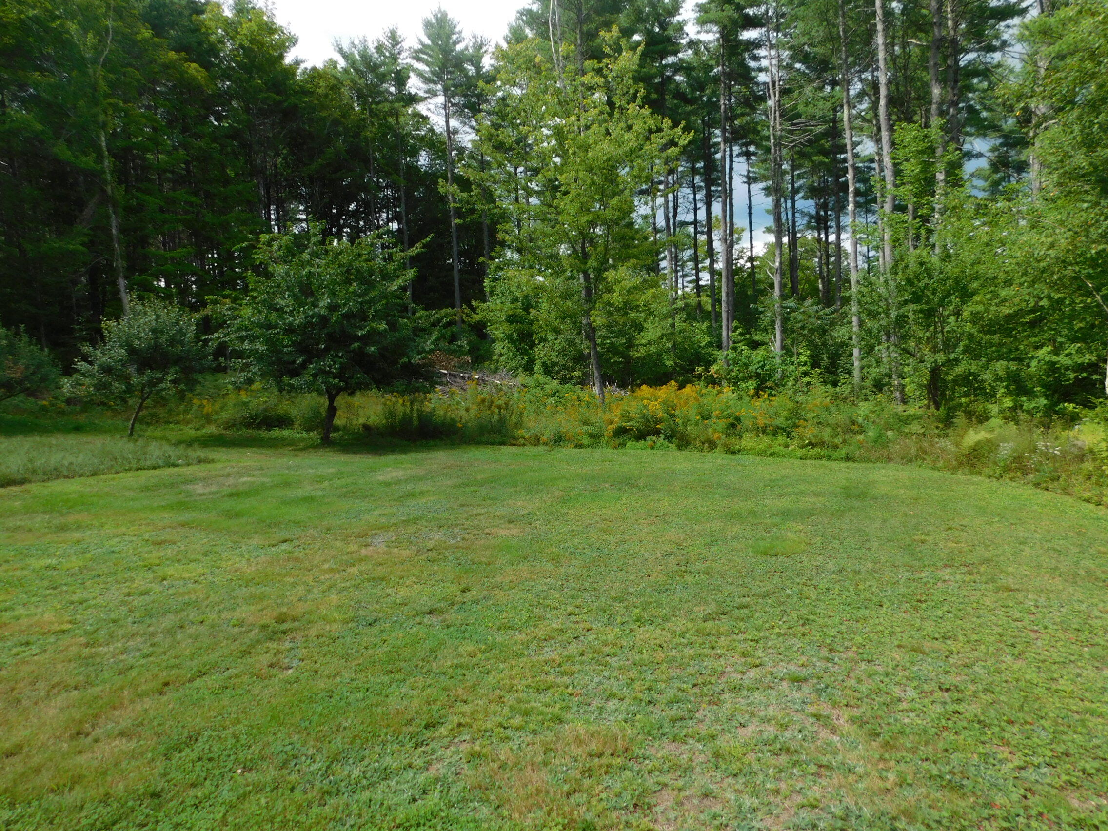 824 Pease Hill Road Anson, ME 04911 - Photo 22 of 52 DSCN3546