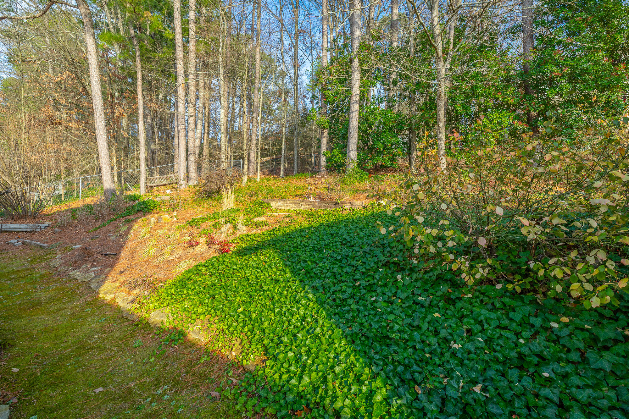 6713 Jordan Run Road Chattanooga, TN 37412 - Photo 71 of 75 6713 Jordan Run Road HD-81