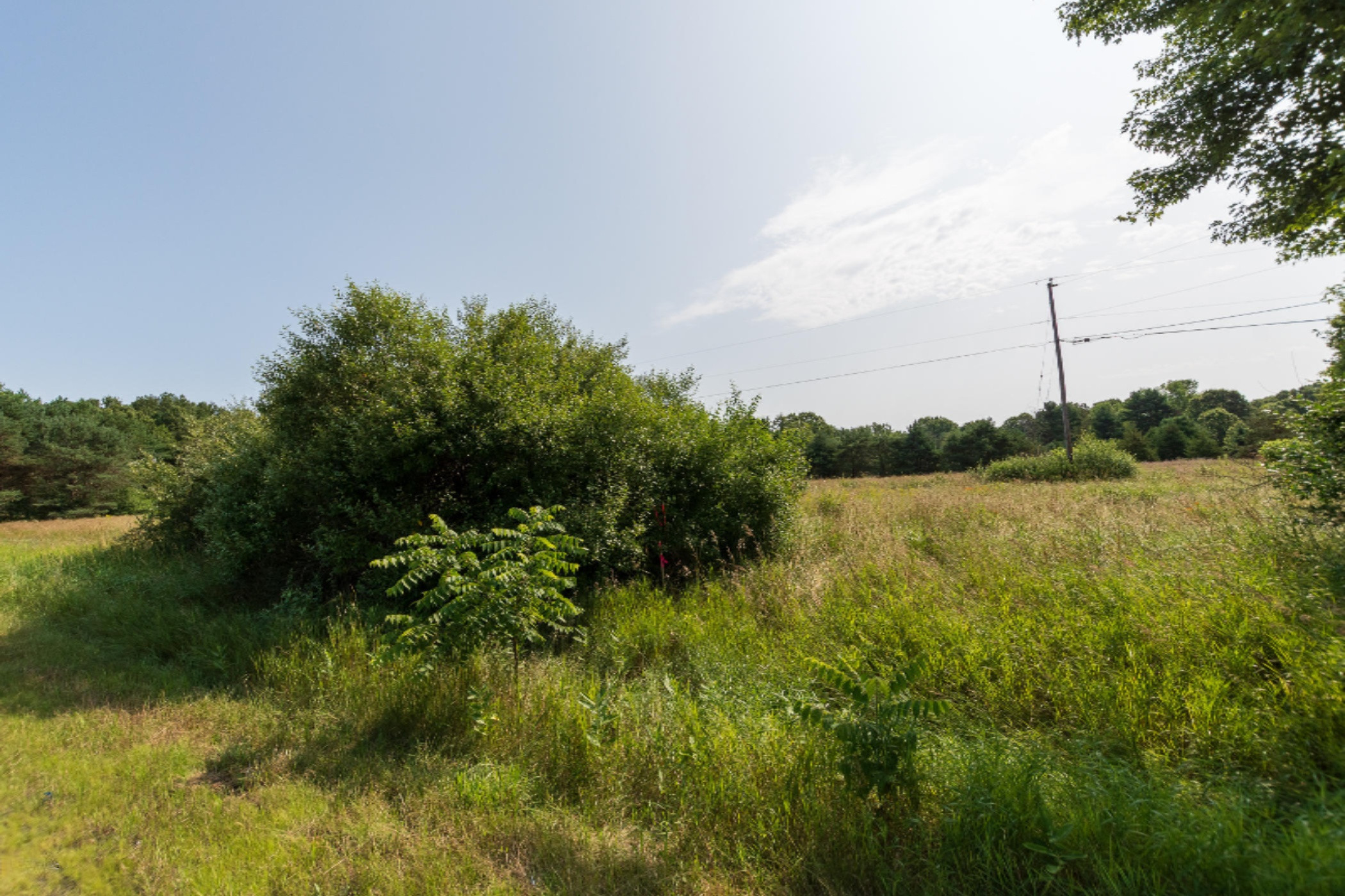 Lot #2 Ravine Road Kalamazoo, MI 49009 - Photo 1 of 5 Vacant Lots - D Ave and Ravine-3