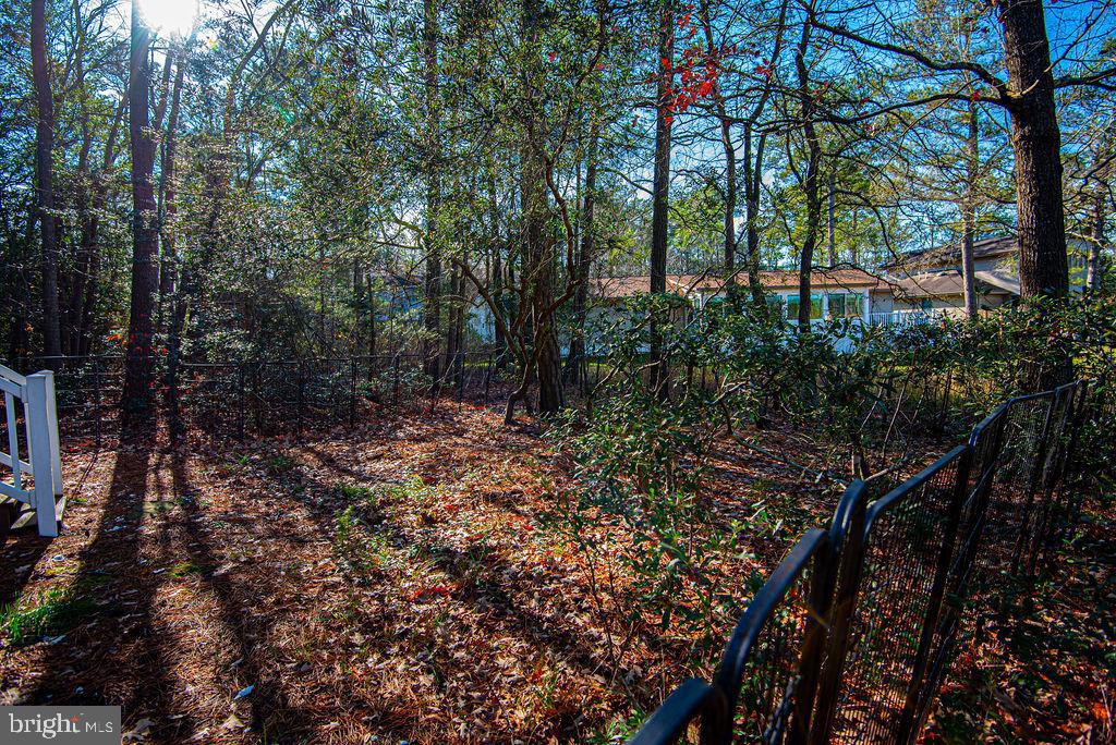 19 Mist Flower Road Ocean Pines, MD 21811 - Photo 33 of 36 a backyard of a house with lots of green space