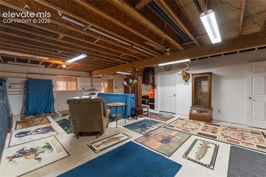 657 Spring Valley Drive Divide, CO 80814 - Photo 32 of 43 Spacious lower level with exposed ceiling joists and fluorescent lighting